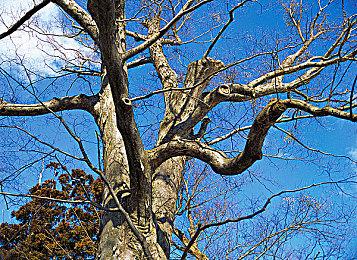 本周Fami通游戏评分出炉 《原子之心》获30分