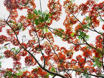 外媒宣传《龙腾世纪4》可攻略角色 玩家吐槽：SBI恶臭味